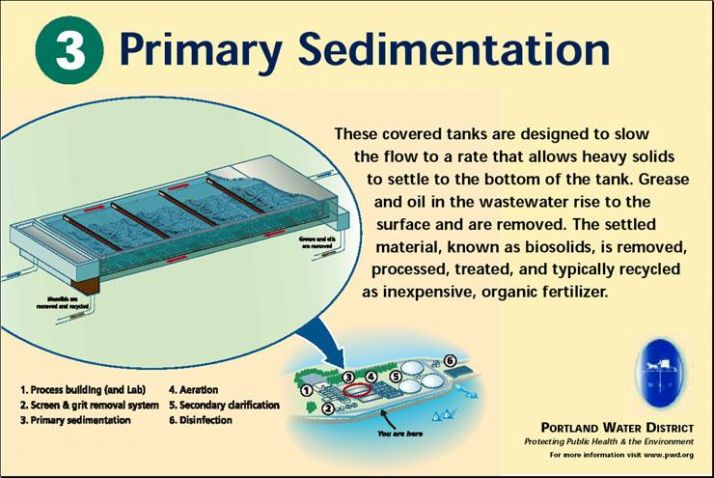 Primary Sedimentation