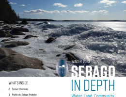 Sebago In Depth Winter 2023