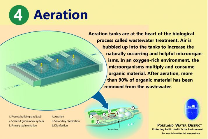 A slide describing the wastewater treatment process